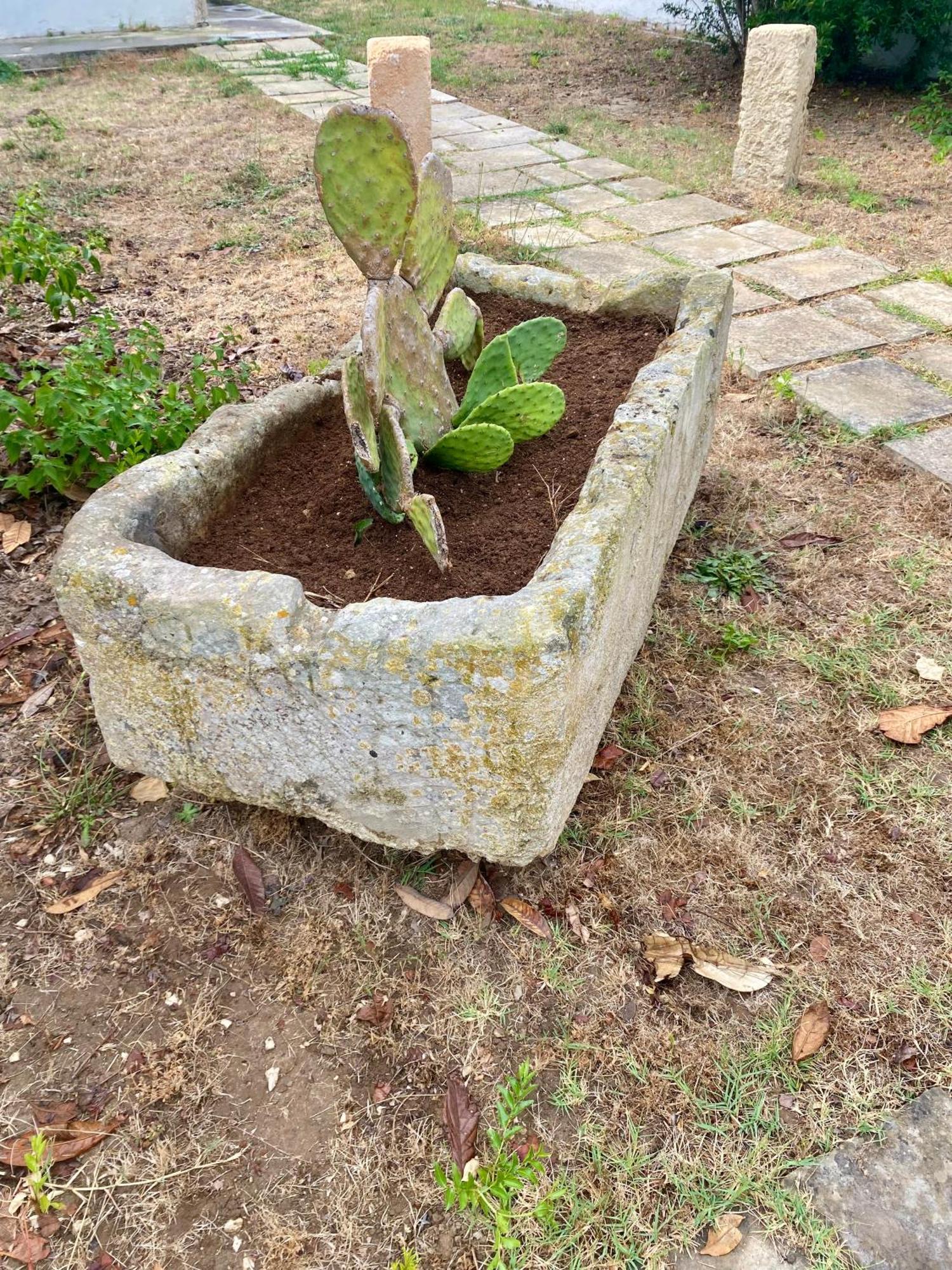 Salento Appartamenti 卡萨拉柏特 外观 照片