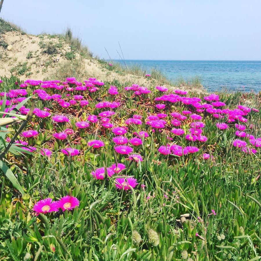 Salento Appartamenti 卡萨拉柏特 外观 照片